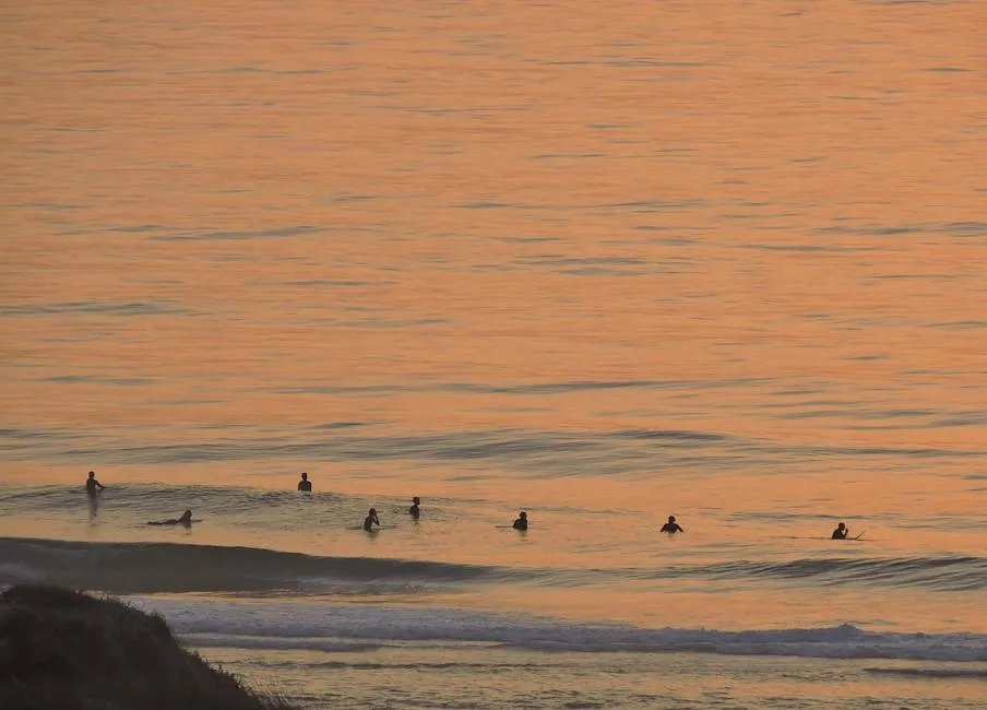 Spring into Sound: 10 Must-See Concerts in D.C. This April placeholder image