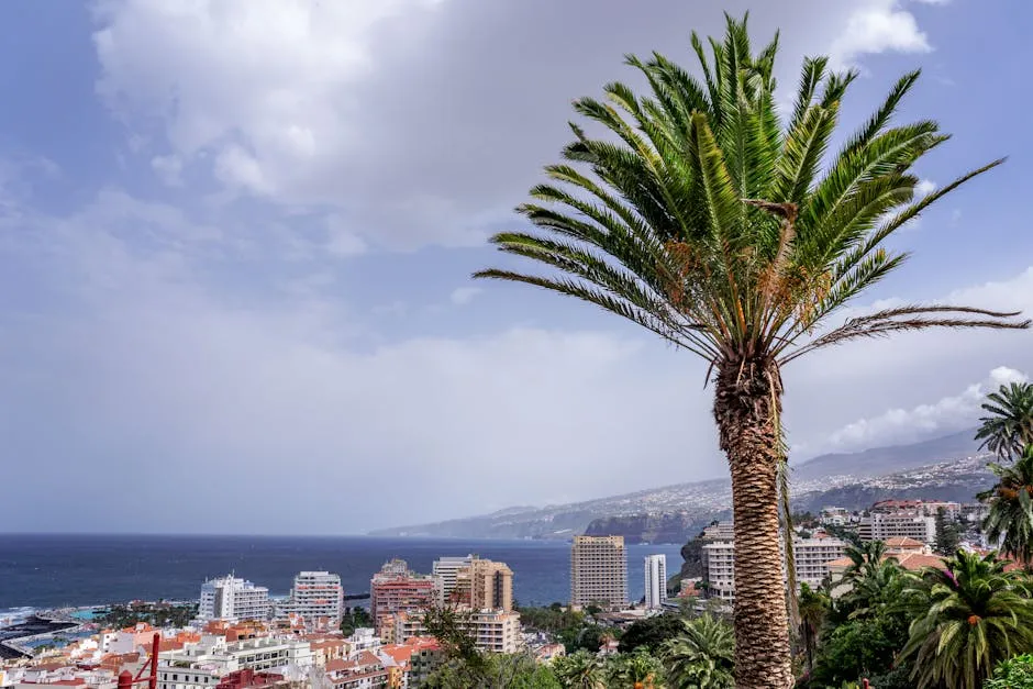 Savannah Guthrie and Hoda Kotb to Share Heartfelt Two-Part 'Today' Interview on Family's Struggle After Mother's Disappearance placeholder image