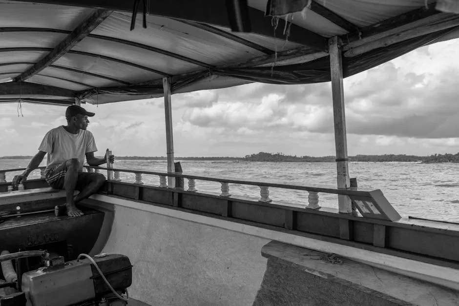 American Airlines Explores Major In-Flight Upgrade with Starlink and Amazon Partnerships placeholder image