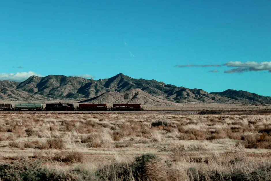 Paddleboarding on the Rise: A Unique Approach to Reviving the Gumbaynggirr Language placeholder image