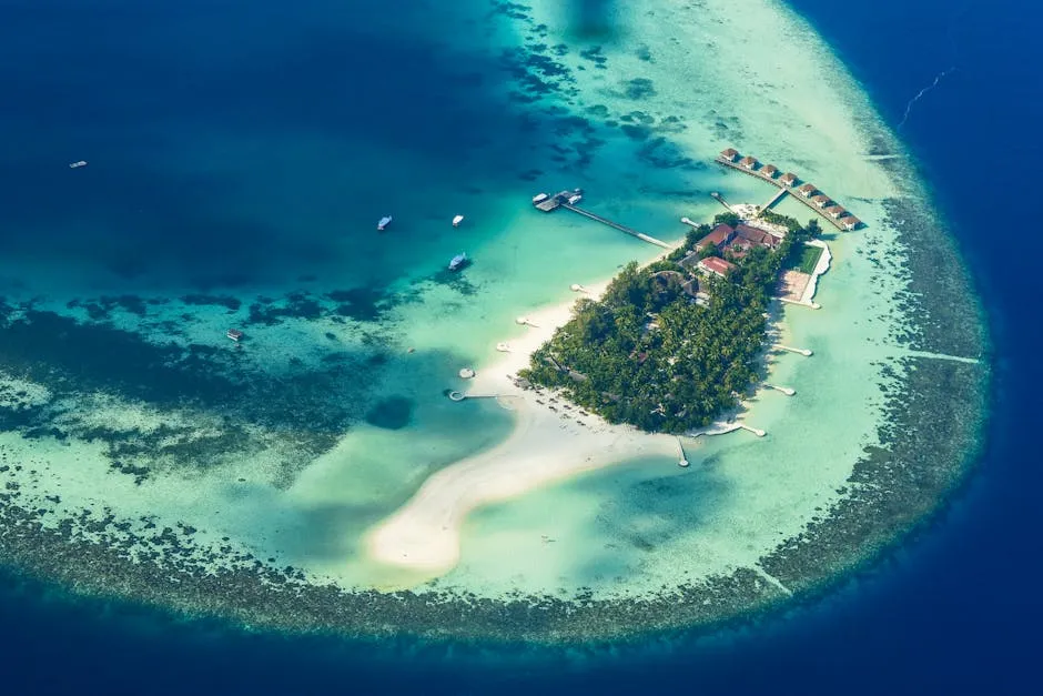 Discover Amsterdam: Your Ultimate Guide to the City's Must-See Attractions and Insider Tips placeholder image